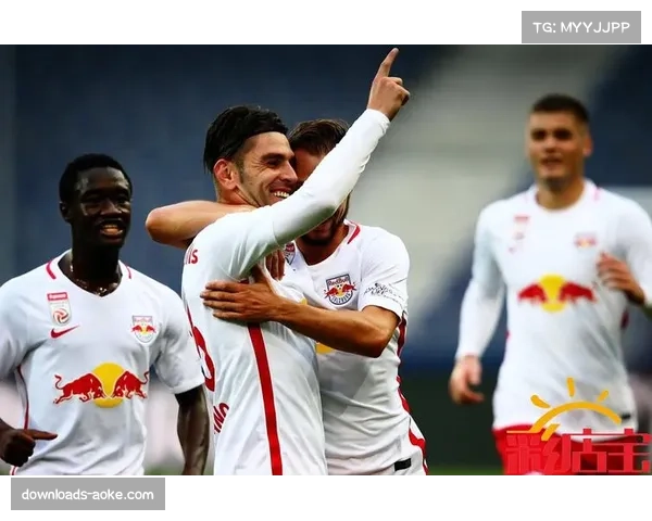 尼斯宣布启动主场维护升级计划，部分看台夏季将关闭